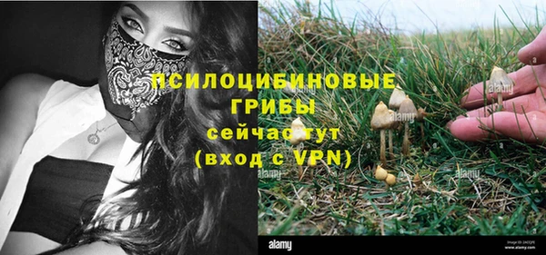 ешки Яранск