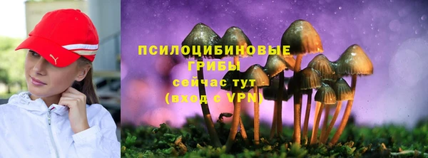 spice Яровое