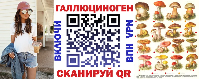 Галлюциногенные грибы Psilocybine cubensis Алейск