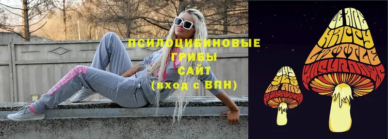 Галлюциногенные грибы Magic Shrooms Алейск