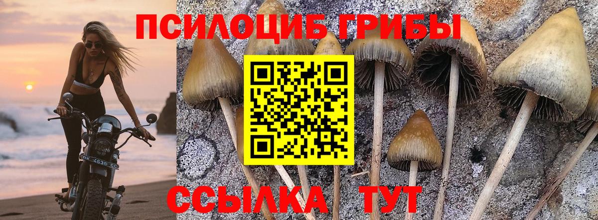 Галлюциногенные грибы MAGIC MUSHROOMS Алейск