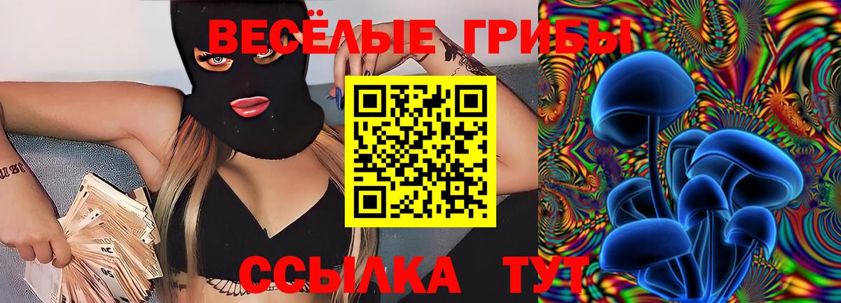 Псилоцибиновые грибы мицелий Алейск