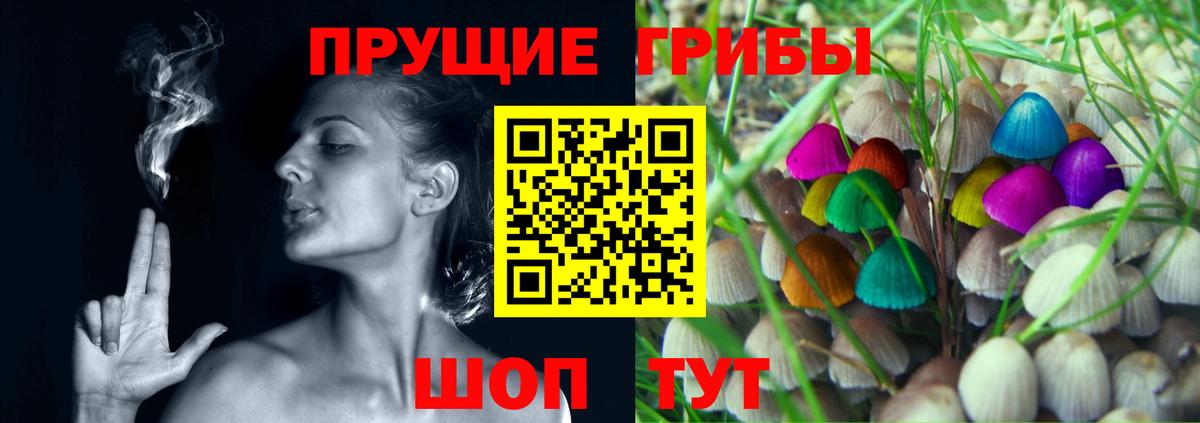 где продают наркотики  Галлюциногенные грибы MAGIC MUSHROOMS  Алейск  Псилоцибиновые грибы мицелий 