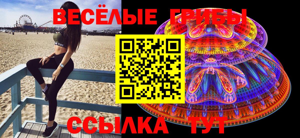 Галлюциногенные грибы прущие грибы  Псилоцибиновые грибы мухоморы  Алейск  Вход с VPN 